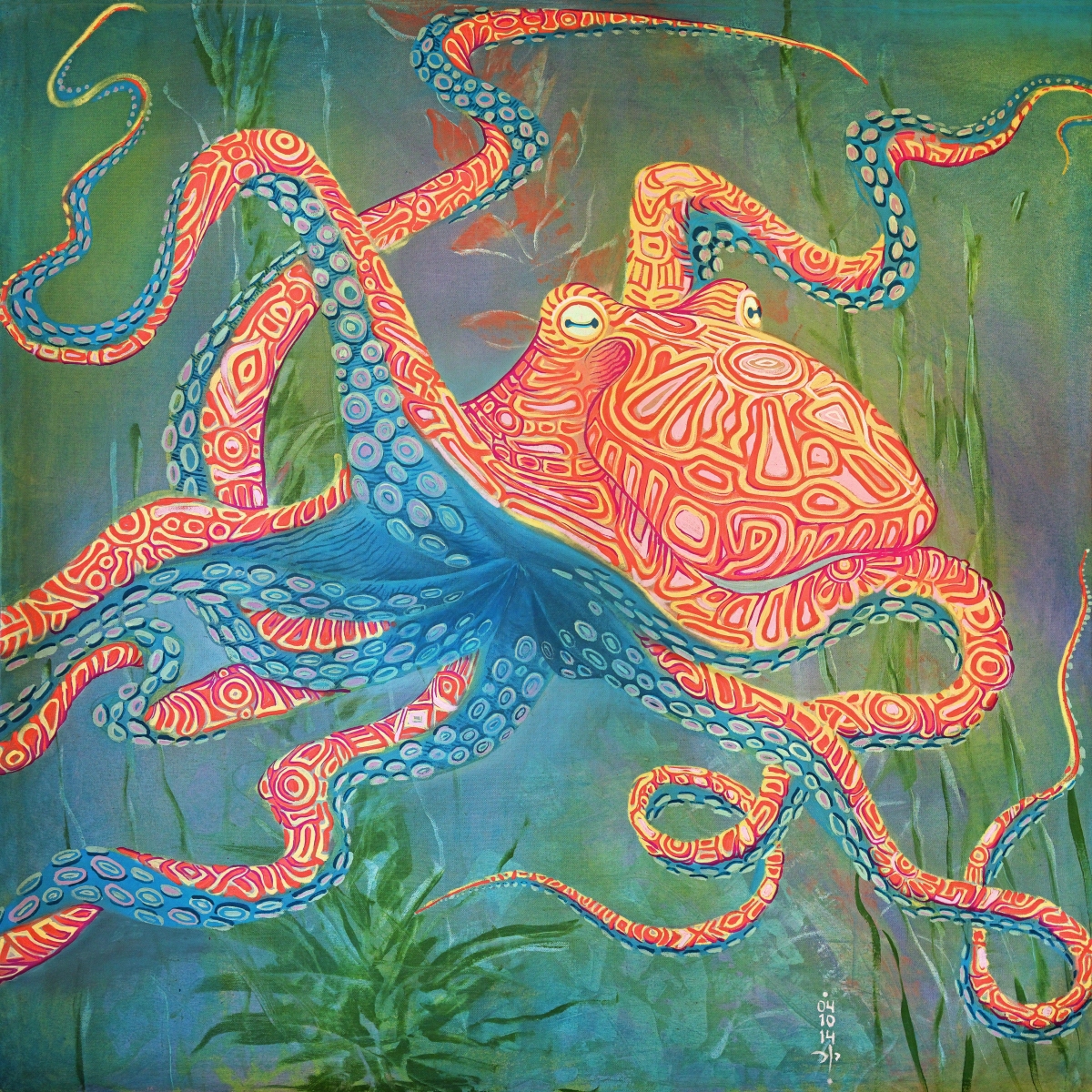 Octopus